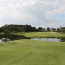 자유컨트리클럽 이미지