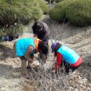 (주)나무 이미지