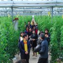 웅포농장 이미지