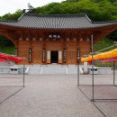 내장사입구 | 내장산 내장사 대웅전 완전 복원 후 방문 후기