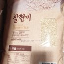 황금웰빙쌈밥도시락 | 코스트코 할인상품 총정리! 놓치면 후회해요.25년 5월