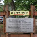 학생야영장 옆 이미지