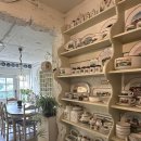 카페쿠시 이미지