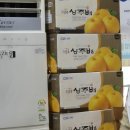 포항물횟집 | 광안리물회 내돈내산 솔직후기 현지인 찐맛집 포항물횟집
