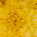 헬스비젼 이미지