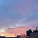 양동농장 | 정신 차려보니 2026