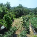 백운면 2200 이미지