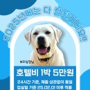 라지독스