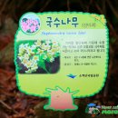 소백산국립공원 남천야영장 이미지