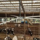 대형목장 이미지