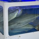 봉우재로 | [상봉 맛집/횟집] 상봉 방어 맛집 홍길동회수산 다녀왔어요 + 웨이팅 꿀팁, 별관 후기