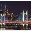 (주)부산여행사 Daum카페