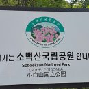 단양소백산가는길민박 이미지