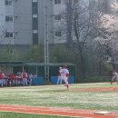 대전신흥초교 이미지