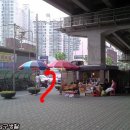 스시로지