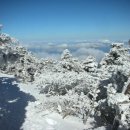 관음사 입구 이미지