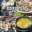 코끼리생막창 | (내돈내산)광주 송정역 도산동 맛집 "코끼리생막창" 노포 현지인 막창 찐맛집