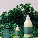 숲속향기 이미지