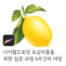 그림 &amp; 디지털드로잉 초심자 분들을 위한 입문 6주 과정의 여정과 후기