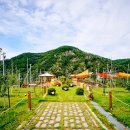 키즈 엔 팜 이미지