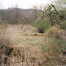 이브의정원 이미지