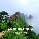 알파세무회계사무소