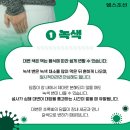 여기,초록 이미지