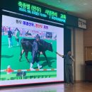 한우사양교육 이미지