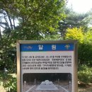황금알연못
