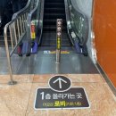 가톨릭관동대학교 | 가톨릭관동대학교 국제성모병원 | 아빠 국가건강검진...CT, 위•대장내시경 용종제거 "보호자 방문 후기"