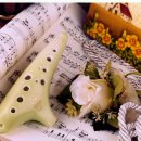 고운소리 오카리나 이미지