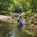함양백운산펜션 | 폭염주의 여름 가족 나들이 휴가 추천 시원한 전국 계곡 여행지 완벽 정리