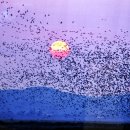 조류탐사과학관 이미지