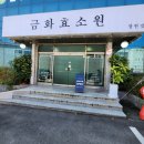 창원효소찜질 건강관리 금화효소원 방문 후기