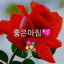 행복한날 이미지