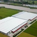 그린(224) 이미지