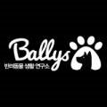 주식회사 밸리스 이미지