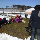 장곡면 신동리마을회관 | JTBC 웃어라 대한민국 푸드킹콩이 함께 한 <신동리 냉이마을> 냉이요리 촬영