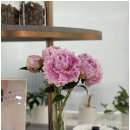 더드림한의원 이미지