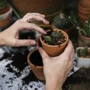 여유누리 이미지