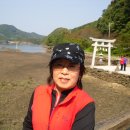 주)조이트래블여행사 이미지