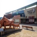 홍천한우 이미지