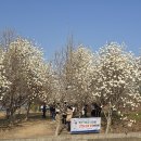 흥동 농장 이미지