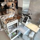 로스팅데이 - 광명시 철산로 45 | 대구 남구 대명동 로스팅 원두판매 쇼룸 카페, 얼데이그라인드커피 내돈내산 후기