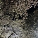 가탄교 위 이미지