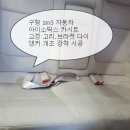 영일카프라자 이미지