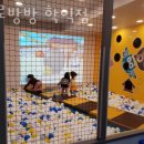 방방 네이버블로그