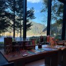 어울림 카워시 | 파크로쉬 리조트앤웰니스 그랜드 스위트 2박 3일 태교여행 내돈내산 후기_요가, 사우나, 맛집, 부대시설