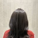 브라운모드