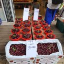 오씨네 과일야채생선 이미지